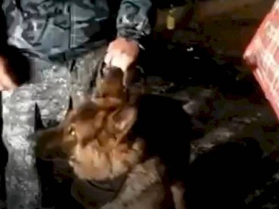 
                    Крупная партия марихуаны изъята у жителя Алматинской области
                
