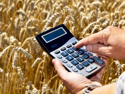 
                    На 0,4% снизились цены производителей сельхозпродукции в Казахстане
                