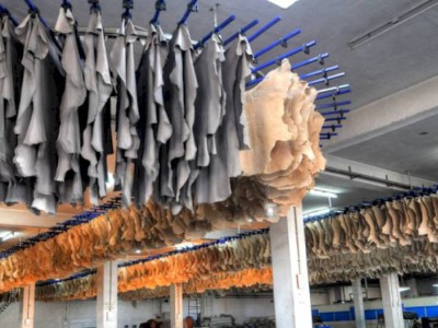 
                    Сколько заработали казахстанские производители на экспорте кожи
                