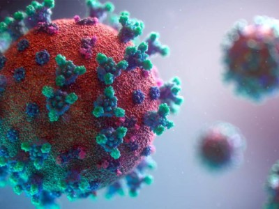 
                    Ирландские медики отрицают существование SARS-CoV-2 – новый фейк в Казнете
                
