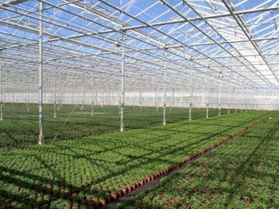 
                    Российская компания планирует строительство теплиц в Алматинской области
                