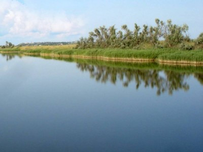 
                    В Казахстане изменились требования конкурсов по предоставлению охотничьих угодий
                