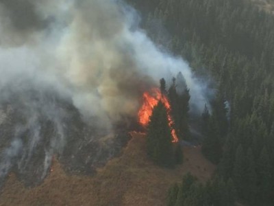 
                    Пожар произошел в горах Алматинской области
                