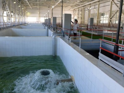 
                    В Алматы построят водозаборное сооружение для обеспечения водой жителей Ерменсая
                