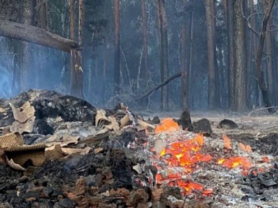 
                    В Костанайской области продолжается борьба с сильным лесным пожаром
                