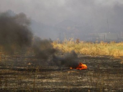 
                    Крупное возгорание сухостоя произошло близ Алматы
                