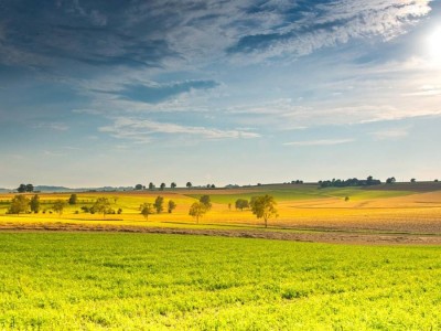 
                    В Казахстане аграриям выделено 385 млрд тенге
                