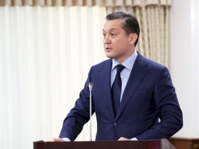 
                    Министр экологии получил выговор от Президента за разрешение на отстрел сайгаков
                