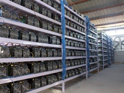 
                    Руководителя сельхозинститута наказали за незаконный майнинг на госпредприятии
                