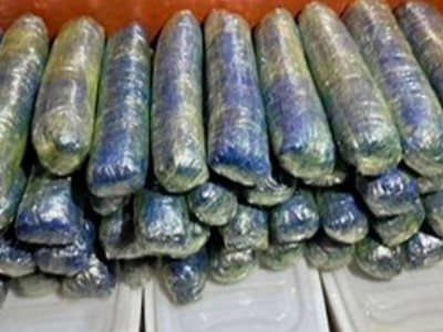
                    В Казахстане ликвидирован канал контрабанды наркотиков в страны Восточной Азии
                