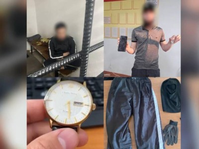 
                    Группу серийных домушников задержали в Алматы
                