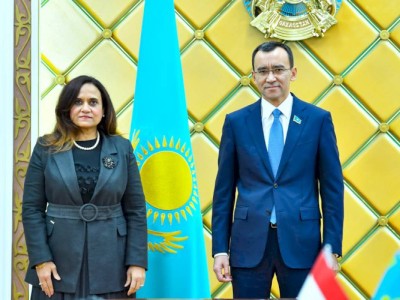 
                    Спикер Сената встретился с Послом Египта в Казахстане
                
