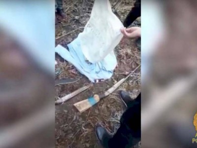 
                    В роще Баума в Алматы найден схрон с боеприпасами
                