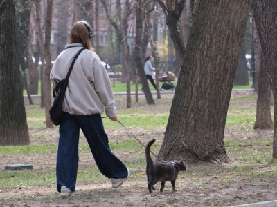 
                    В Алматы приняли новые правила для владельцев домашних животных
                