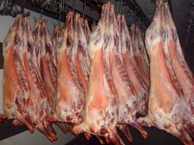 
                    Минсельхоз РК увеличит долю экспорта баранины в арабские страны
                