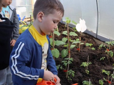 
                    Инклюзивный экопроект запустила победитель конкурса грантов «Тәуелсіздік ұрпақтары»
                