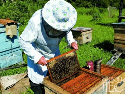 
                    Какую продукцию и в какие страны планируют поставлять казахстанские предприятия
                