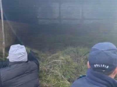 
                    Хищение леса пресекли в области Абай
                