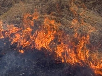 
                    Склон горы загорелся близ микрорайона Думан в  Алматы
                