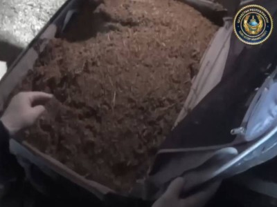 
                    20 кг марихуаны изъяли у жителя Прииртышья
                