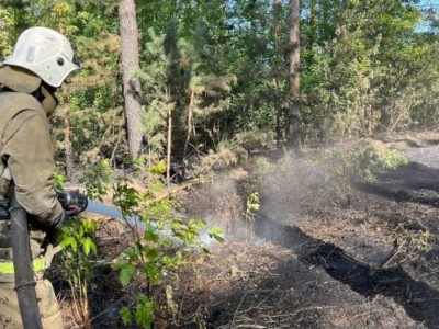 
                    Новая программа для защиты сельских районов от ЧС запущена в Казахстане
                