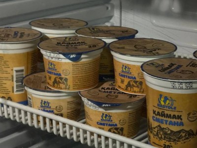 
                    Завод по переработке молочной продукции мощностью 30 тонн в сутки запустили в ВКО
                