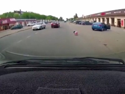 
                    Маленькая девочка выпала из движущегося авто в Алматинской области
                