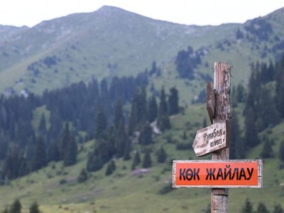 
                    «Зеленый коридор» предлагают ввести на пограничных пунктах Казахстана 
                