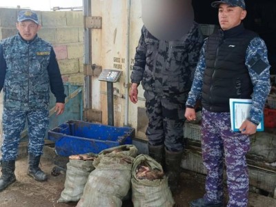
                    В области Абай задержан нарушитель за незаконный лов рыбы
                