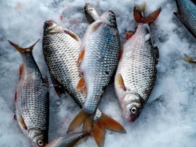 
                    Четверых рыбаков спасли на Капшагайском водохранилище
                