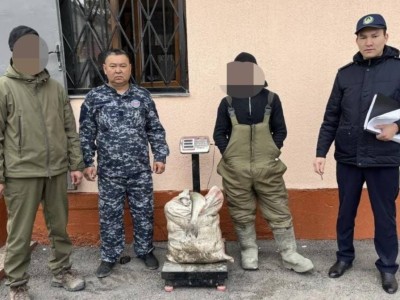 
                    На реке Или задержали браконьеров с электроудочками
                