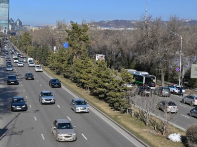 
                    В Алматы на проспекте аль-Фараби высадили почти 300 крупномерных деревьев
                