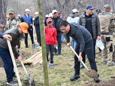 
                    Almaty clean & green: более 10 тыс. деревьев высадили алматинцы в дни Наурыза
                