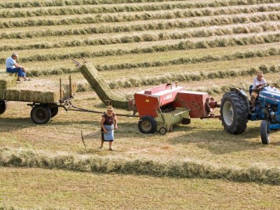 
                    1 августа 2025 года в Казахстане стартует сельскохозяйственная перепись
                