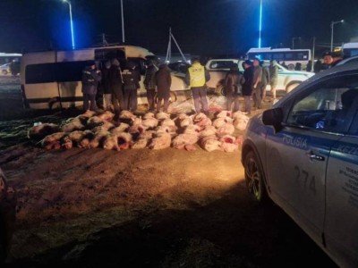 
                    В Кызылорде выявлен крупный факт браконьерства
                