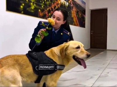 
                    Лабрадор Блонди подарил цветы женщинам-полицейским в Павлодаре
                
