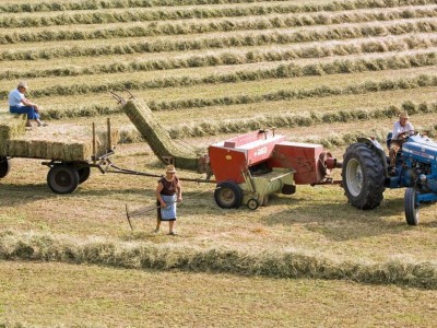 
                    В Казахстане проведут национальную сельскохозяйственную перепись
                