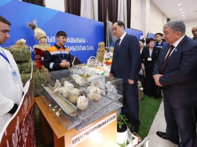 
                    Торжественное открытие Года рабочих профессий состоялось в Жамбылской области 
                