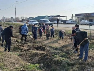 
                    13 тысяч деревьев посадили за один день в Туркестанской области
                