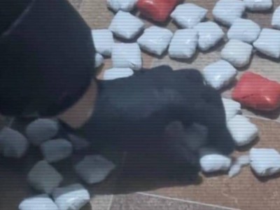 
                    В Казахстане за февраль ликвидировано 17 нарколабораторий  
                