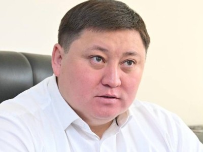 
                    «Это не отлов» – Ерлан Омаров о службе скорой ветпомощи для бродячих животных 
                