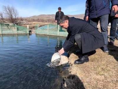 
                    50 тысяч мальков форели выпустили в искусственный водоем в Тюлькубасе
                