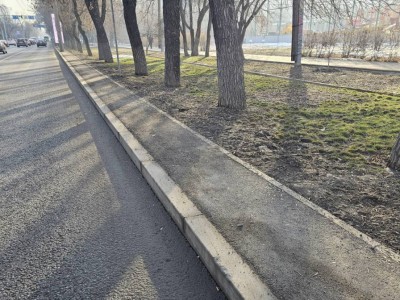 
                    Технические тротуары проложат по 11 магистральным улицам в Бостандыкском районе Алматы
                