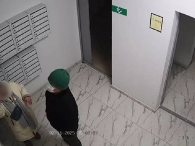 
                    Напавшего на женщину грабителя задержали в Алматы
                