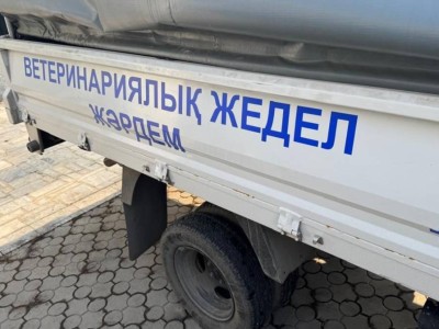 
                    В Алматы запущена скорая ветеринарная помощь для безнадзорных и бродячих животных
                