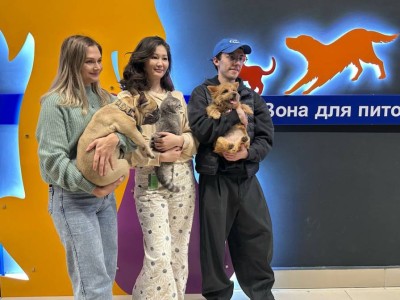 
                    Аэропорт Алматы открыл специальную зону для пассажиров, путешествующих с домашними животными
                