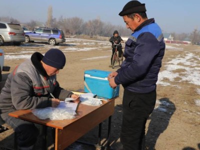 
                    Чипирование лошадей проводится в Жамбылской области
                
