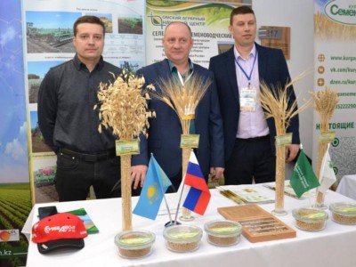 
                    День семян «Тұқым-2025» прошел в Кокшетау
                