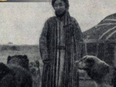 
                    Ученые из Алматы раскрыли генетическую историю казахских собак породы тобет
                