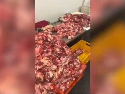 
                    В Астане изъятое мясо передано на корм животным в приют
                